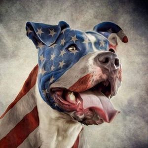 Meet your Posher, Gregory